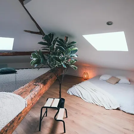 L'amazonien - Baby-foot Et Filet De Detente ! * Nîmes