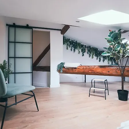 L'amazonien - Baby-foot Et Filet De Detente ! *