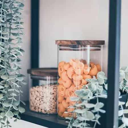 L'amazonien - Baby-foot Et Filet De Detente ! *