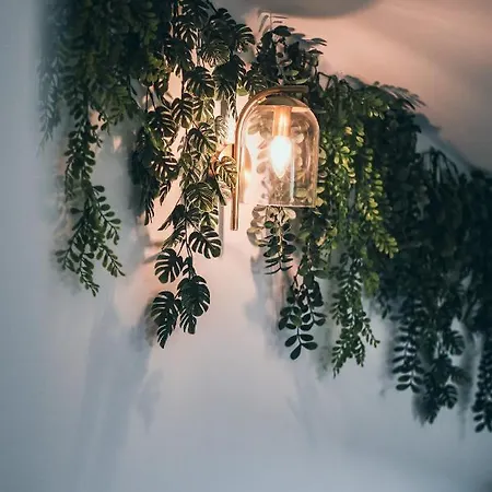 L'amazonien - Baby-foot Et Filet De Detente ! Appartement *