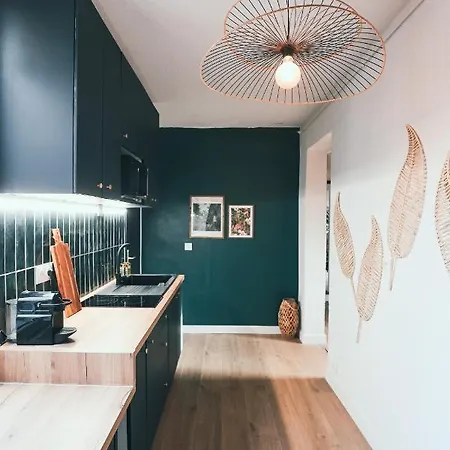 Appartement L'amazonien - Baby-foot Et Filet De Detente !