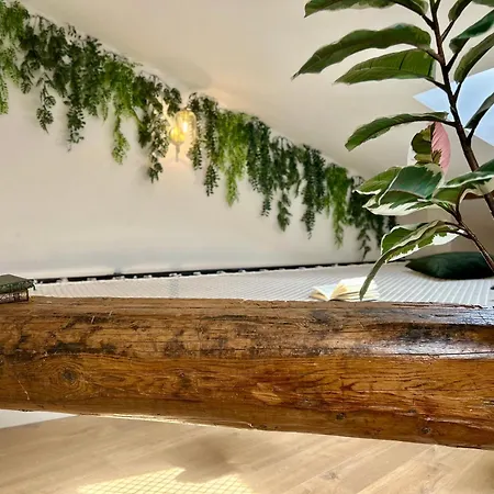 L'amazonien - Baby-foot Et Filet De Detente ! Nîmes