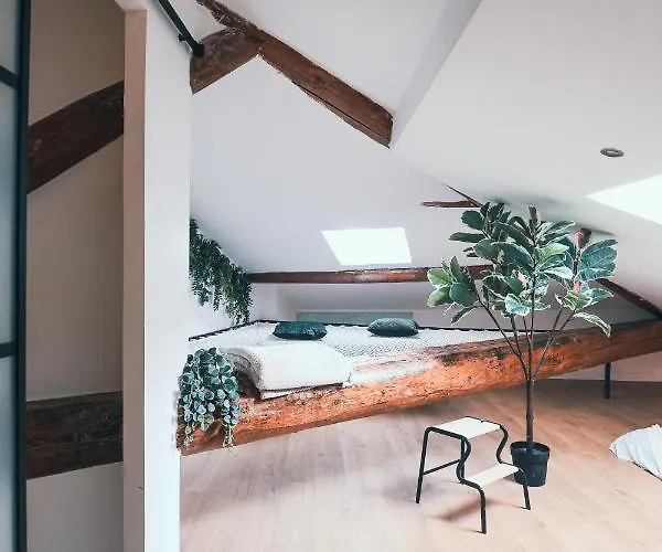 L'amazonien - Baby-foot Et Filet De Detente ! Apartmán