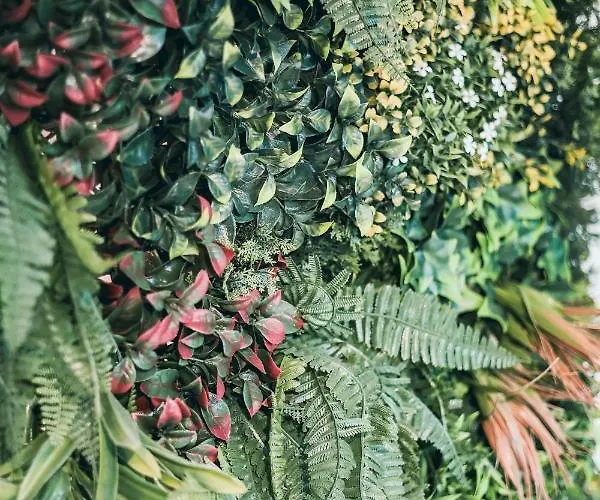 Apartmán L'amazonien - Baby-foot Et Filet De Detente !