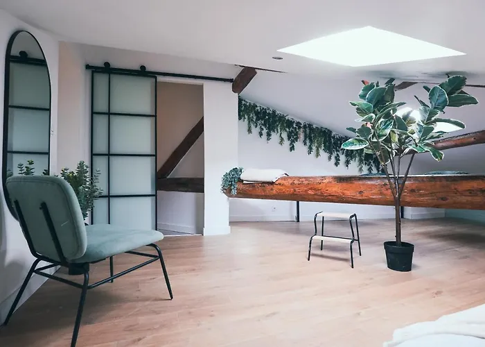 L'amazonien - Baby-foot Et Filet De Detente ! *