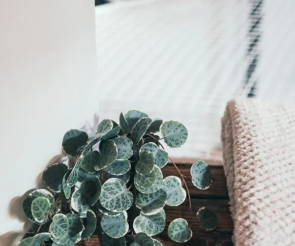 Apartmán L'amazonien - Baby-foot Et Filet De Detente !