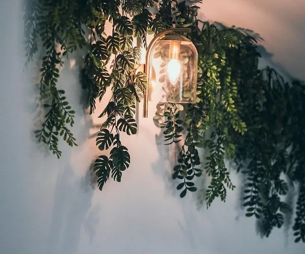 L'amazonien - Baby-foot Et Filet De Detente ! Apartmán *