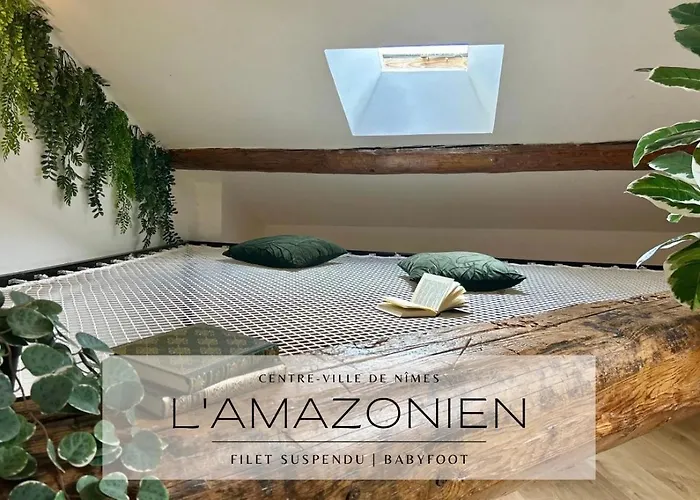 Apartmán L'amazonien - Baby-foot Et Filet De Detente ! *